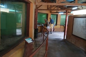 Mombasa/Diani: Uforglemmelig privat byrundvisning i Mombasa.