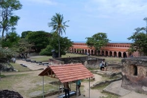 Mombasa/Diani: Niezapomniana prywatna wycieczka po mieście Mombasa.