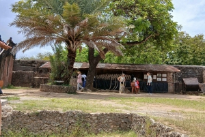 Mombasa/Diani: Niezapomniana prywatna wycieczka po mieście Mombasa.