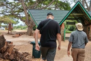 Mombasa/Diani: Niezapomniana prywatna wycieczka po mieście Mombasa.