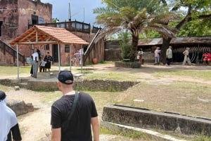 Mombasa/Diani: Niezapomniana prywatna wycieczka po mieście Mombasa.