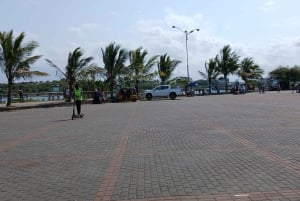 Mombasa/Diani: Niezapomniana prywatna wycieczka po mieście Mombasa.