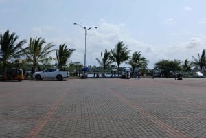 Mombasa/Diani: Niezapomniana prywatna wycieczka po mieście Mombasa.