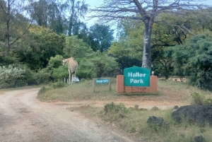 Mombasa/Diani : Inoubliable visite privée de la ville de Mombasa.