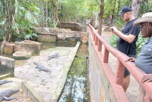 Mombasa/Diani : Inoubliable visite privée de la ville de Mombasa.