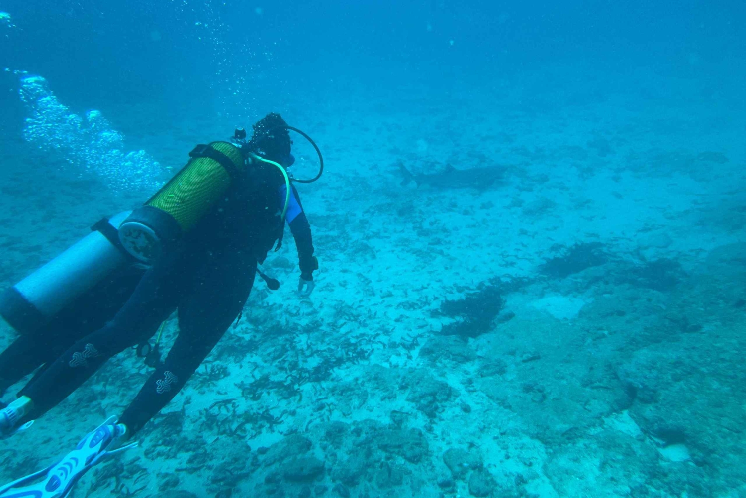 Mombasa: Experiencia de descubrimiento del buceo con guía PADI