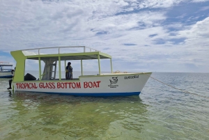 Mombasa: Experiencia de descubrimiento del buceo con guía PADI