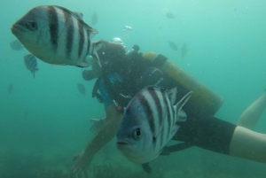 Mombasa: Experiencia de descubrimiento del buceo con guía PADI