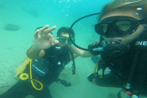 Mombasa: Experiencia de descubrimiento del buceo con guía PADI