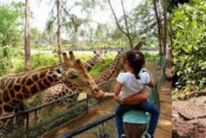 モンバサディスカバリーデイツアーとハラーパーク