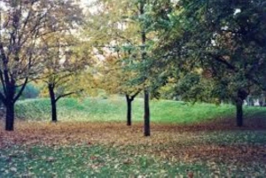 モンバサディスカバリーデイツアーとハラーパーク