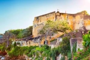 Mombasa: Discovery Day Tour and Haller Park