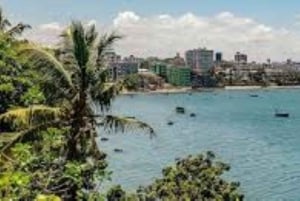 Mombasa: Discovery Day Tour and Haller Park