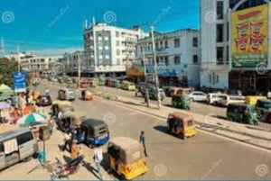 Mombasa: Discovery Day Tour and Haller Park