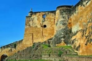 Mombasa: Discovery Day Tour and Haller Park