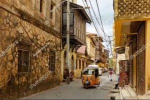 Mombasa: Discovery Day Tour and Haller Park