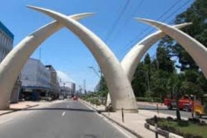 Mombasa: Discovery Day Tour and Haller Park