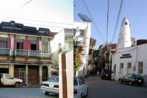 Mombasa: Dagstur på opdagelse og Haller Park