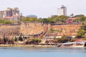 Mombasa: Dagstur på oppdagelsesferd og Haller Park
