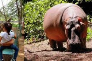 Mombasa: Dagstur på oppdagelsesferd og Haller Park