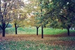 Mombasa: Dagstur på oppdagelsesferd og Haller Park