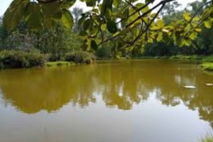 Mombasa: Dagstur på oppdagelsesferd og Haller Park