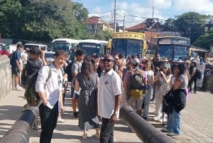 MOMBASA:FortJesus,OldTown,SpiceMarket, Shiva Temple DayTour.