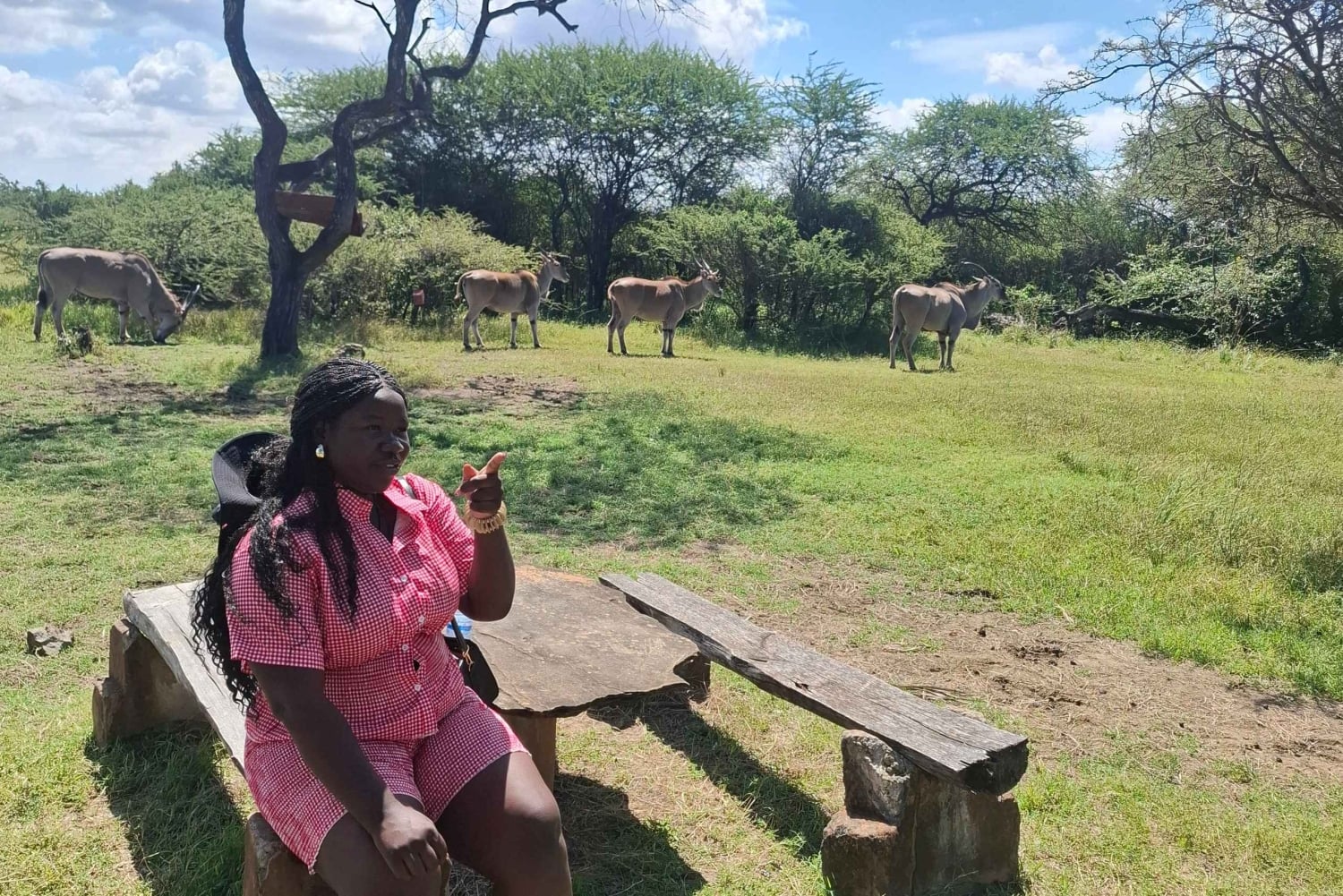 Mombasa : visite guidée du Fort Jesus, de la vieille ville et de la faune