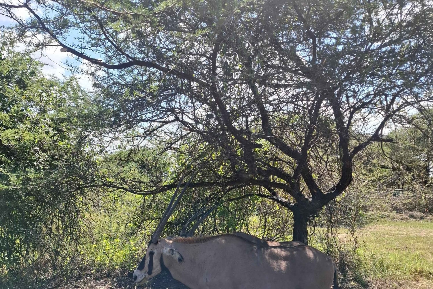 Mombasa : visite guidée du Fort Jesus, de la vieille ville et de la faune