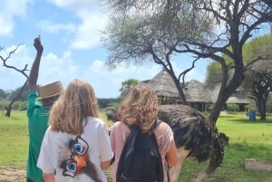 Mombasa : visite guidée du Fort Jesus, de la vieille ville et de la faune