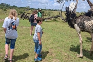 Mombasa : visite guidée du Fort Jesus, de la vieille ville et de la faune