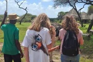 Mombasa : visite guidée du Fort Jesus, de la vieille ville et de la faune