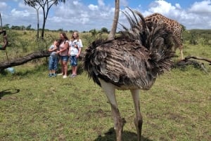 Mombasa : visite guidée du Fort Jesus, de la vieille ville et de la faune