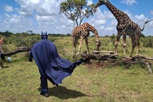 Mombasa : visite guidée du Fort Jesus, de la vieille ville et de la faune