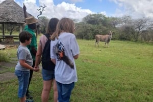 Mombasa : visite guidée du Fort Jesus, de la vieille ville et de la faune