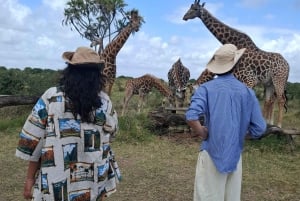 Mombasa : visite guidée du Fort Jesus, de la vieille ville et de la faune