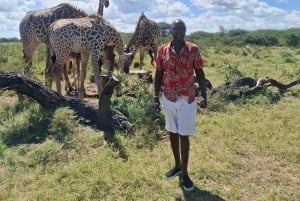 Mombasa : visite guidée du Fort Jesus, de la vieille ville et de la faune