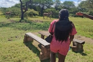 Mombasa : visite guidée du Fort Jesus, de la vieille ville et de la faune