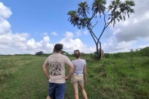 Mombasa : visite guidée du Fort Jesus, de la vieille ville et de la faune