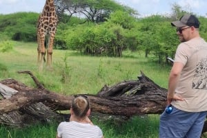 Mombasa : visite guidée du Fort Jesus, de la vieille ville et de la faune