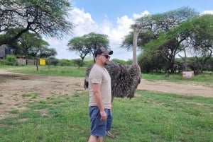 Mombasa : visite guidée du Fort Jesus, de la vieille ville et de la faune