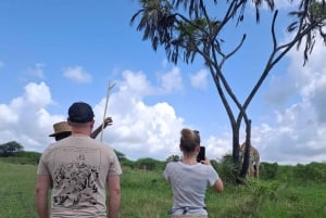Mombasa : visite guidée du Fort Jesus, de la vieille ville et de la faune