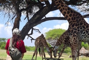 Mombasa : visite guidée du Fort Jesus, de la vieille ville et de la faune