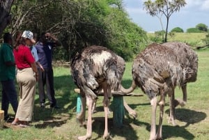 Mombasa : visite guidée du Fort Jesus, de la vieille ville et de la faune