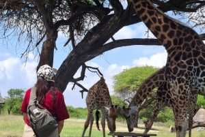 Mombasa : visite guidée du Fort Jesus, de la vieille ville et de la faune