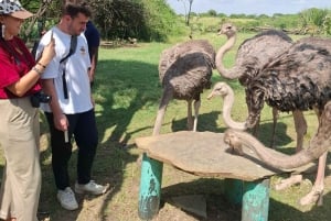 Mombasa : visite guidée du Fort Jesus, de la vieille ville et de la faune
