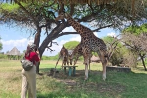 Mombasa : visite guidée du Fort Jesus, de la vieille ville et de la faune