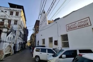 Mombasa : visite guidée du Fort Jesus, de la vieille ville et de la faune