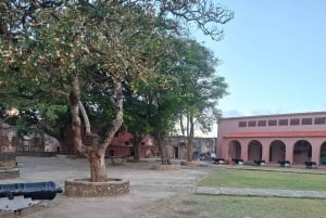 Mombasa : visite guidée du Fort Jesus, de la vieille ville et de la faune