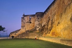 Mombasa : visite guidée du Fort Jesus, de la vieille ville et de la faune